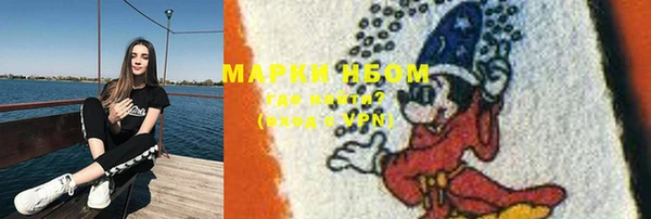 ПСИЛОЦИБИНОВЫЕ ГРИБЫ Аркадак