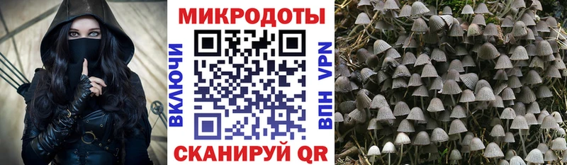 Псилоцибиновые грибы ЛСД  блэк спрут онион  площадка наркотические препараты  где продают наркотики  Зея 